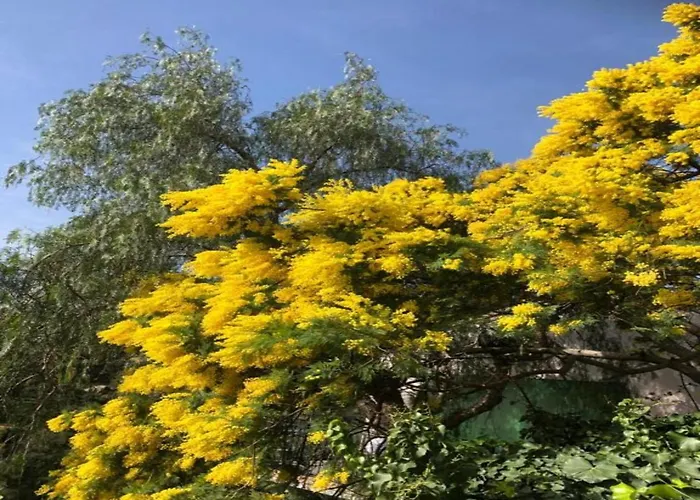 Сasa de vacaciones In Near Beaches & Pool Bormes-les-Mimosas